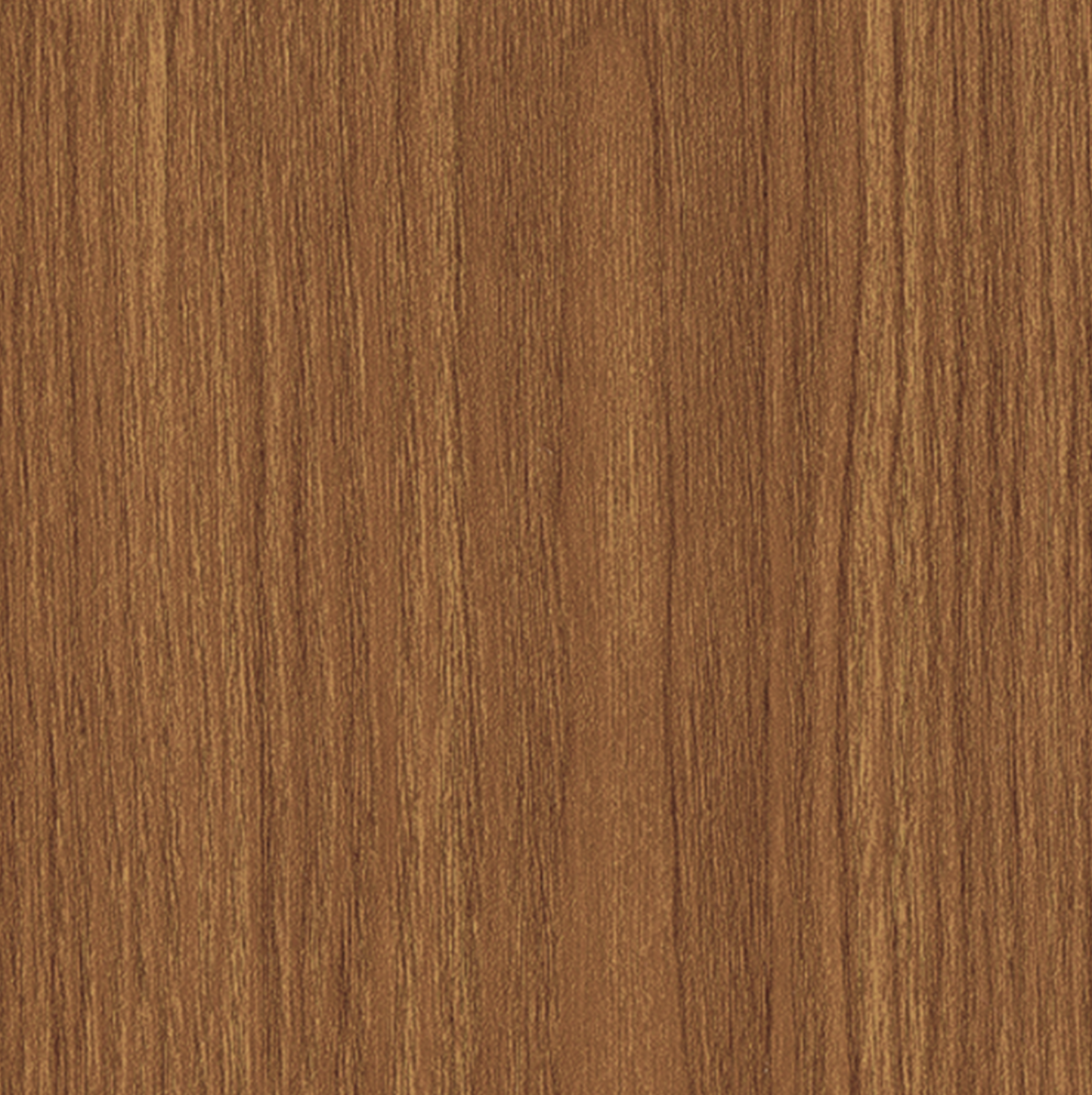 Antique Birch