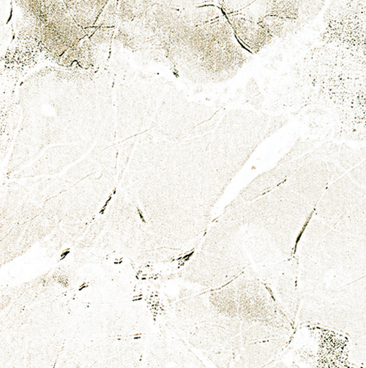 Marble Ivory