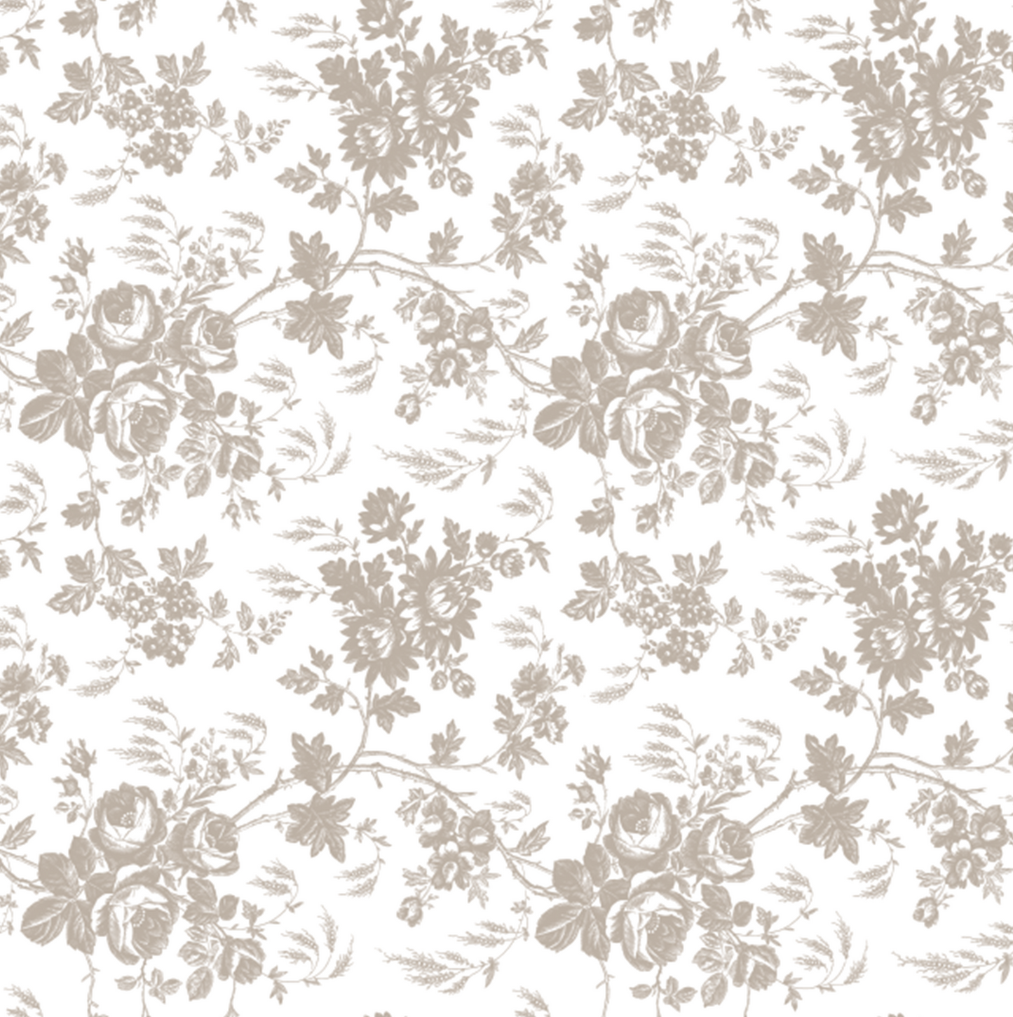 Toile Taupe