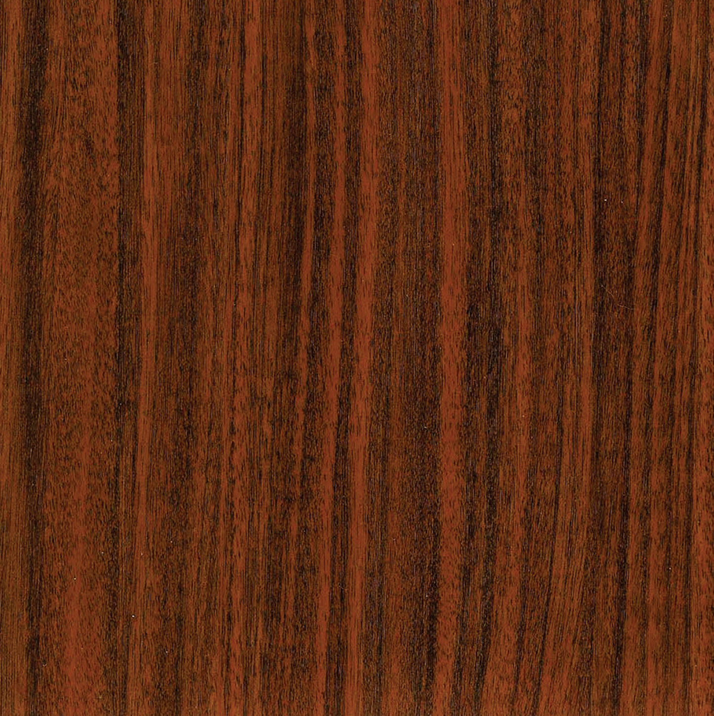 Tropical Walnut
